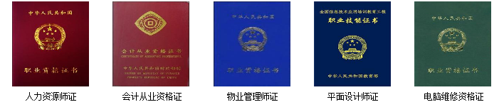 1602660026722.png